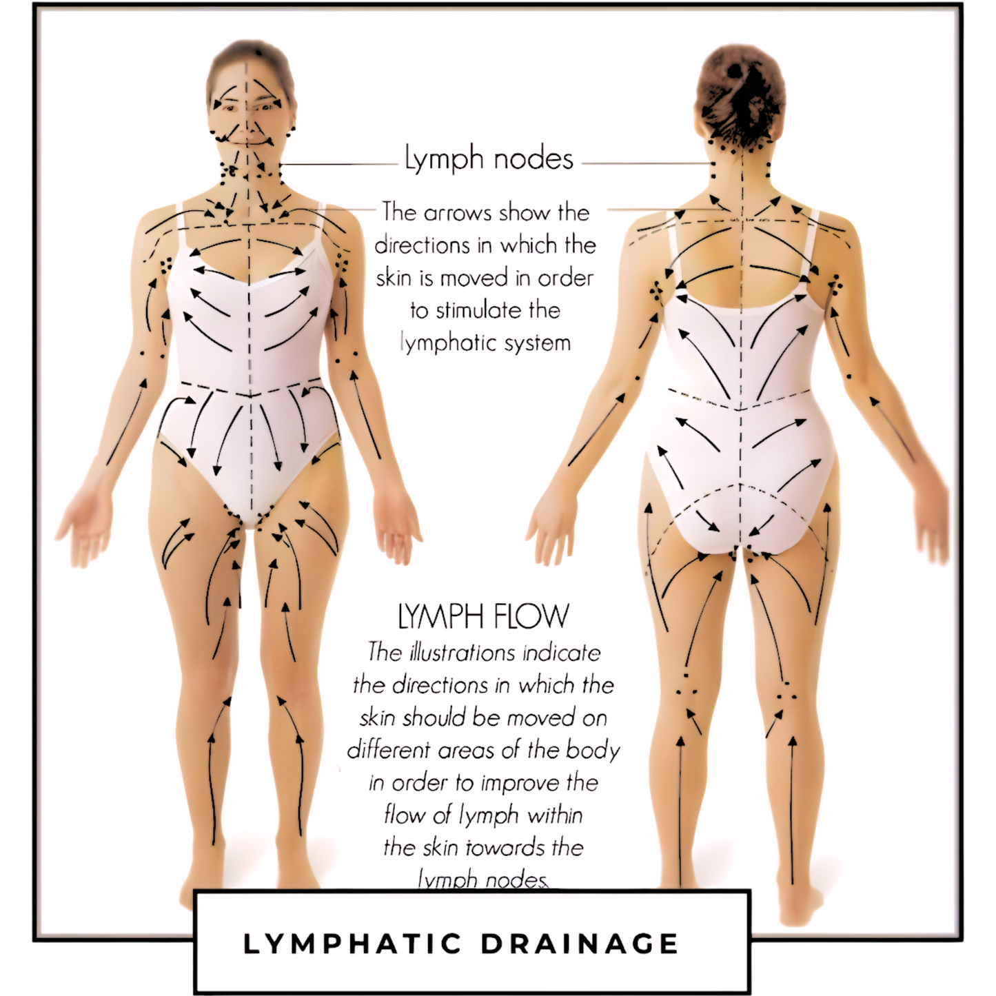 Body Gua Sha Tool - Natural Beechwood