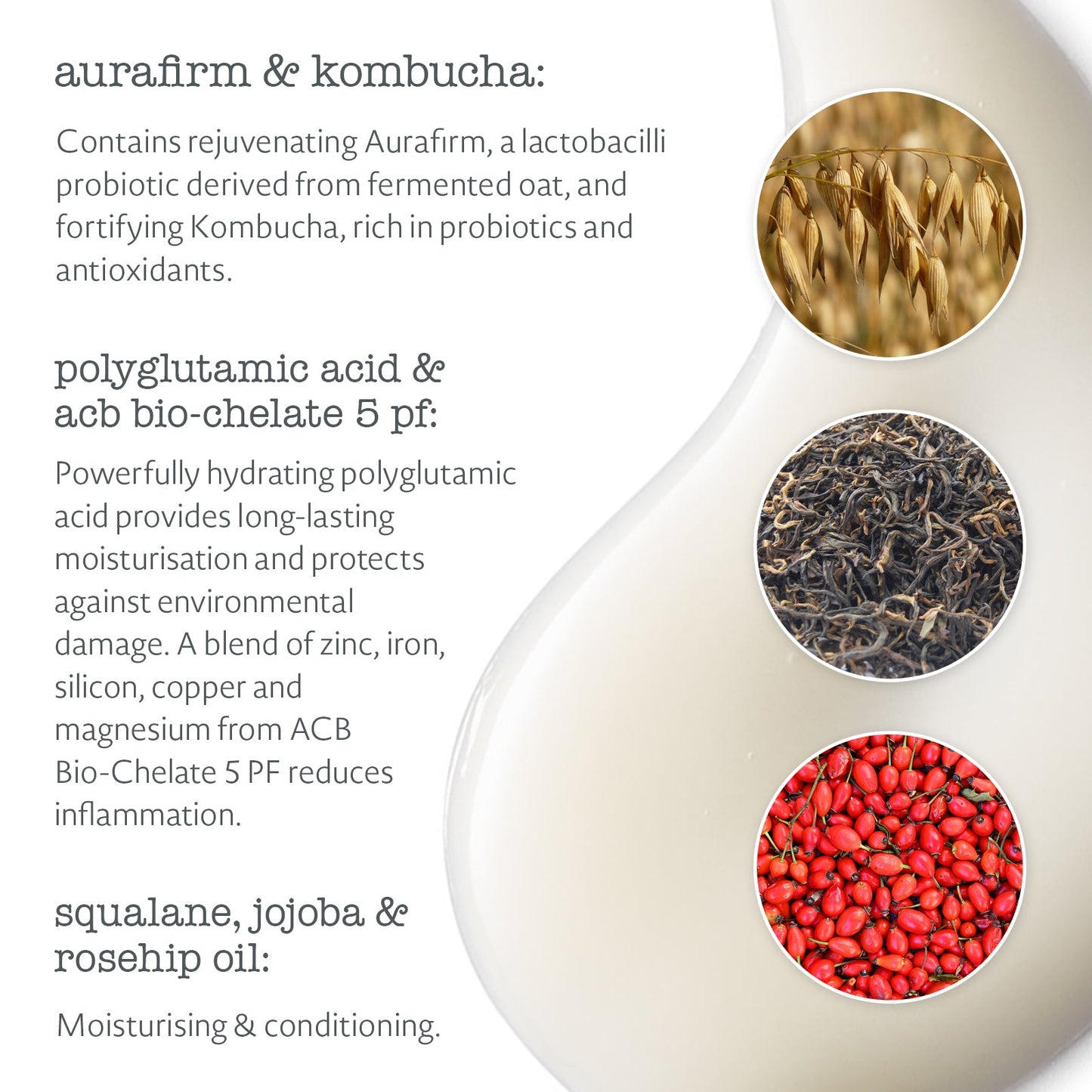 Wood Element Perfect Balance Probiotic Ritual (value $148.00)