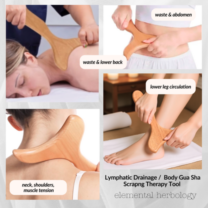 Lymphatic Drainage/Cellulite Paddle