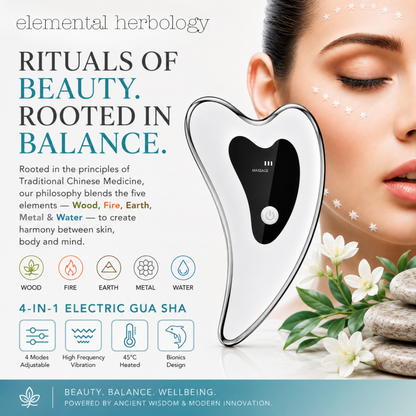 4-in-1 Electric Gua Sha Facial Tool