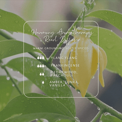 Harmony Reed Diffuser