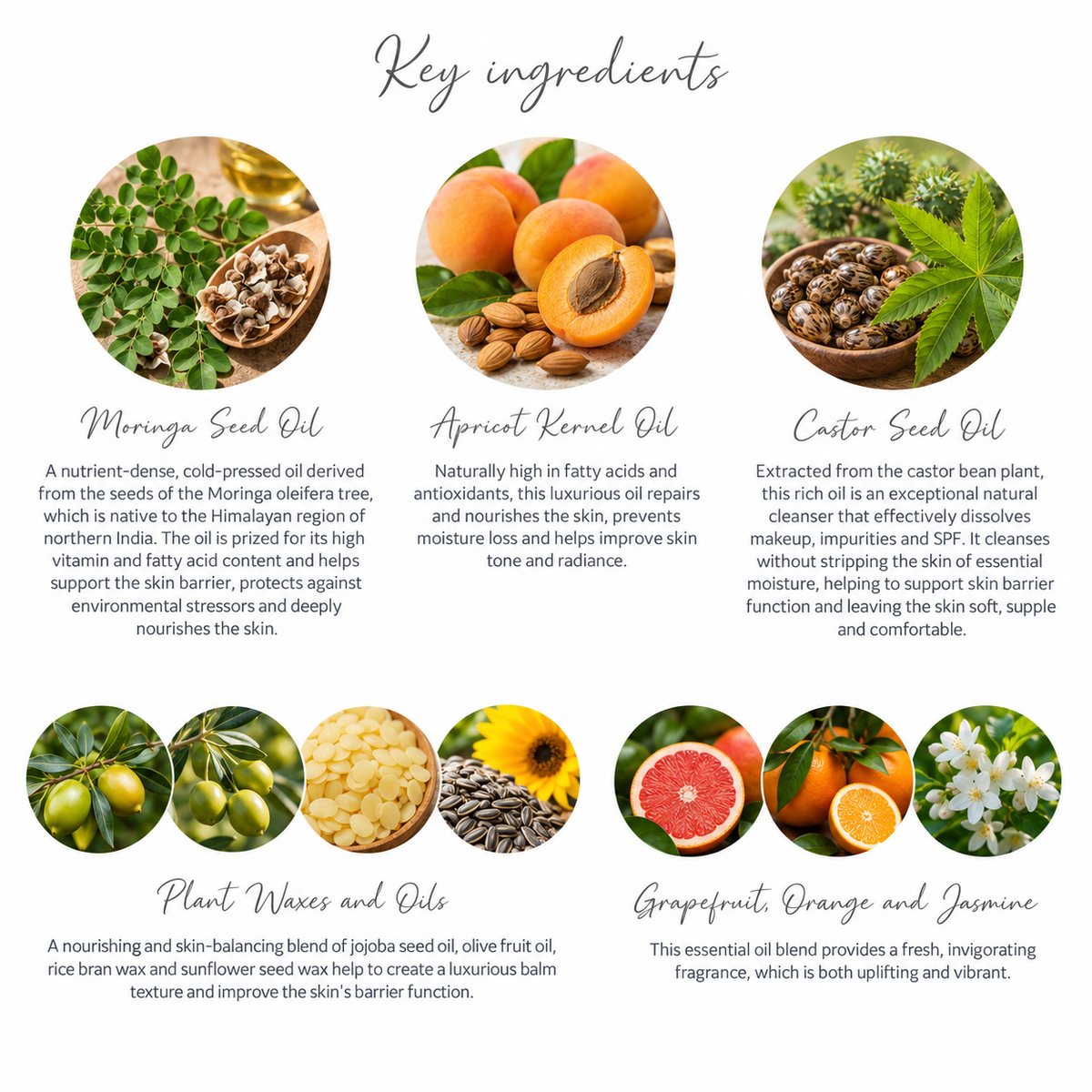 A beauty ingredient infographic titled 'Key ingredients' showing six circular product photos with names and descriptions: Moringa Seed Oil, Apricot Kernel Oil, Castor Seed Oil, Plant Waxes and Oils, and Grapefruit, Orange and Jasmine. The layout is clean and balanced on a white background.