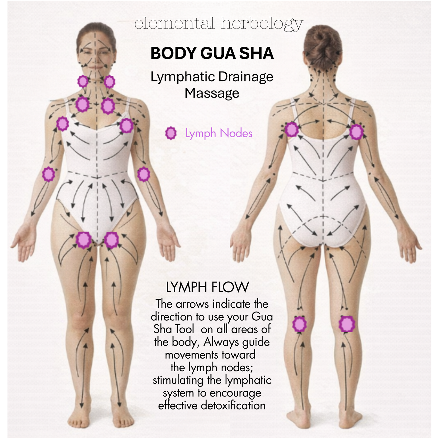 Body Gua Sha Tool - Natural Beechwood