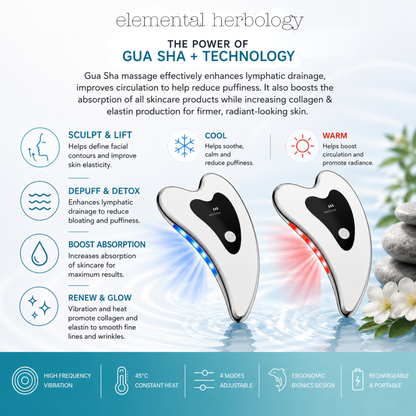 4-in-1 Electric Gua Sha Facial Tool