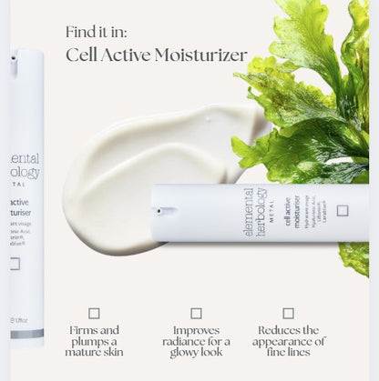 Cell Active Moisturizer