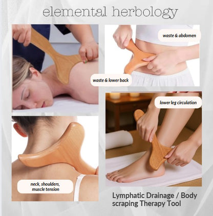 Lymphatic Drainage/Cellulite Paddle